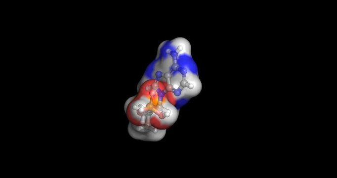 Tenofovir, nucleotide reverse transcriptase inhibitor for human immunodeficiency virus and hepatitis B, 3D molecule spinning, 4K