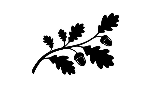 Minimalist Oak Branch Silhouette Vector Icon with Leaves and Acorns for Fall Season Festival Banners, Forestry Branding, and Rustic Woodwork Logo Designs