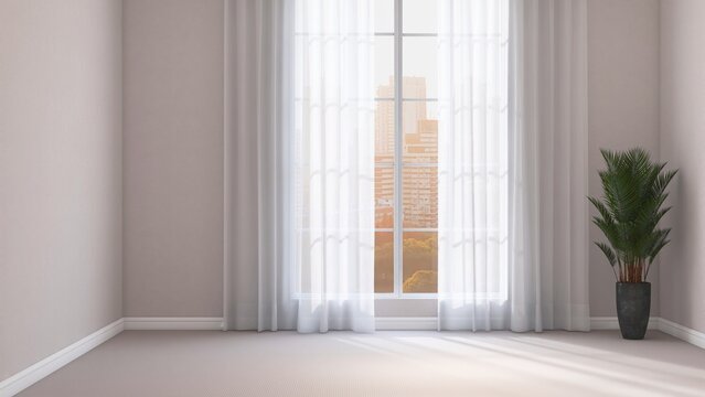 Contemporary, cozy empty room with cream wall, carpet floor, houseplant by window in sunlight from white sheer curtain for modern interior design decoration, architecture, product background 3D