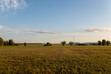 Panorama pola z drzewami w tle w krajobrazie wiejskim w porze letniej, pola kwitnące plony i drzewa w oddali na tle błękitnego nieba z niemalże bezchmurną pogodą © mbugajsky