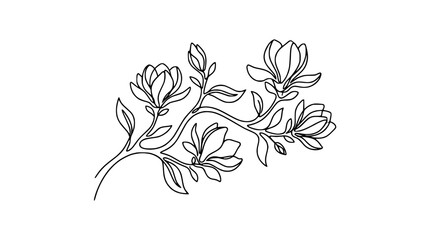Minimalist line art of blooming magnolia flowers and branches, simple elegant floral design © Fajarputra