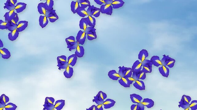 Purple Iris Flowers Falling Slowly Against a Cloudy Blue Sky Background
