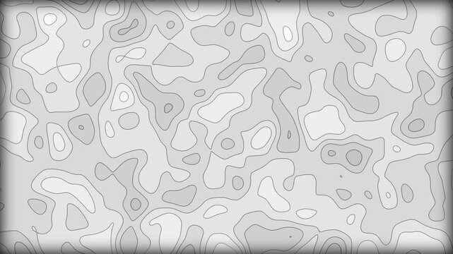 Abstract Topographic Map Contour Lines Pattern - Gray and White Topographical Background