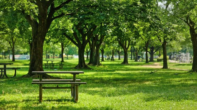A lush green park with large shady trees and wooden benches along a path near the Han River in Seoul on a summer day.