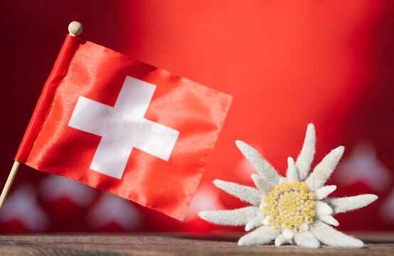 Swiss National Day Celebration August 1: Mountains, Flag, Alphorn, Goat, Edelweiss Illustration, Swiss National Day Celebration 1 August Typography