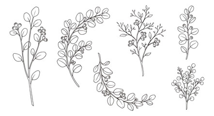 Minimalist eucalyptus branch line art set, hand drawn botanical leaf sketches, 6 black and white floral vector elements for wedding invitations © Muhammad