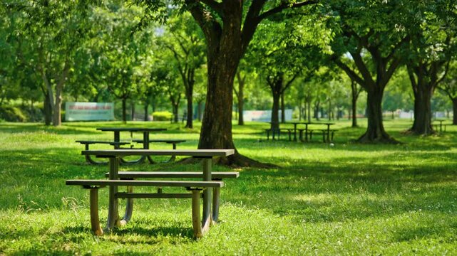 A shaded park area near the Han River in Seoul with large trees casting shade over wooden benches on a bright summer day.