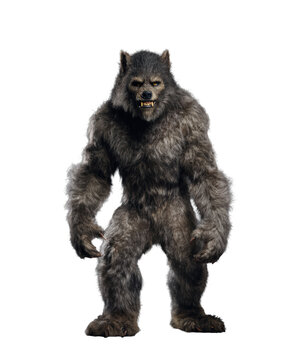 Dark werewolf beast standing against white background