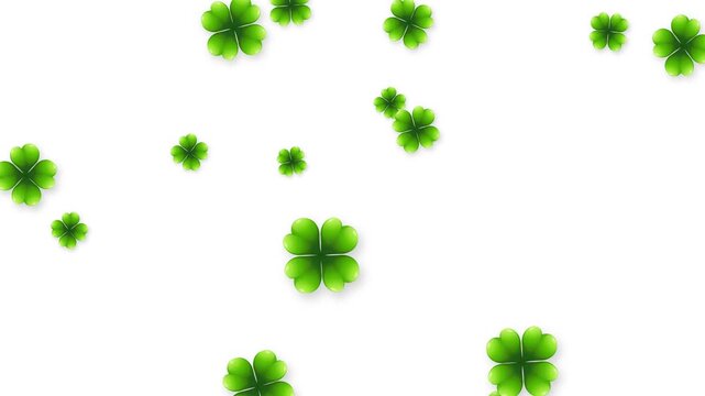 Green Four Leaf Clover Objects Falling on White Background Animation