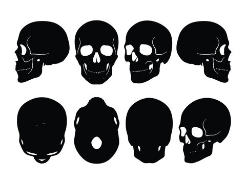 Anatomical black human skull silhouette set showcasing diverse viewing angles on white background