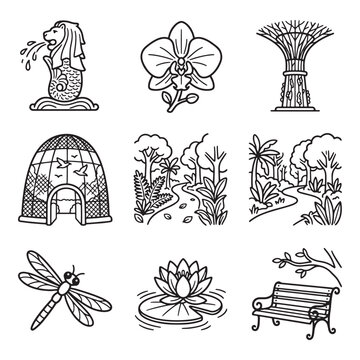 Black and white line drawings flowers.