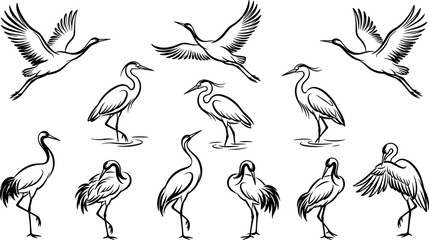 Obraz premium Crane and heron bird vector silhouette set with flying and standing elegant Japanese style wildlife illustrations