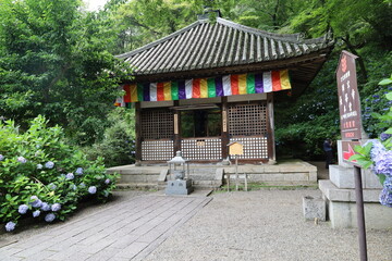 Obraz premium A Japanese temple : a scene of the precincts to Hase-dera Temple in Sakurai City in Nara Prefecture
