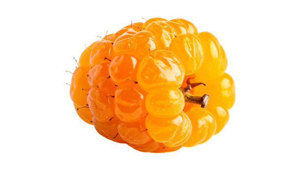 Single dried cloudberry isolated on transparent background, realistic texture, soft studio lighting