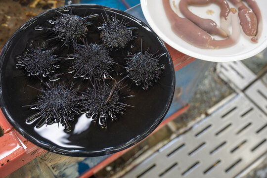 Fresh black sea urchins and marine worms displayed in bowls at Jagalchi Fish Market in Busan, South Korea.