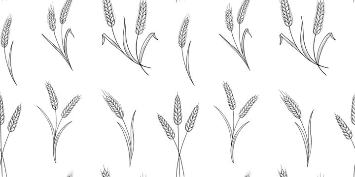 Seamless vector monochrome pattern with line wheat, ears. Perfect for bakery, farm branding, and natural cereal packaging designs.