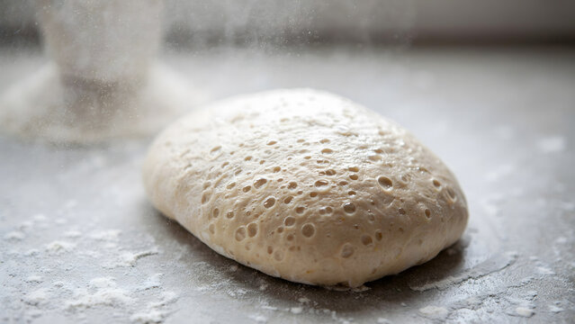 A fresh ball of raw wheat bread dough covered in flour on a kitchen counter