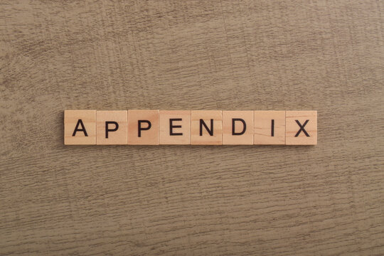 Wooden letter blocks spelling appendix on a gray wood background, representing document sections, reports, academic writing, business records, references, and technical documentation.