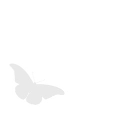 Gray butterfly silhouette on transparent background insect wing animal nature wildlife simple icon symbol representation © Ambea Creative World