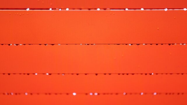 Vibrant orange wall with string lights. Glowing decorative lights on textured orange background.