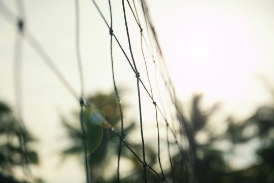 Sun shines through palm trees near a volleyball net