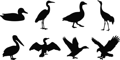 Fototapeta premium Water Bird Silhouette Collection with Ducks Herons Pelicans Eagles and Flying Bird Vector Set
