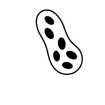 Peanut icon