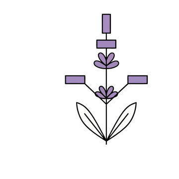 Stylized Lavender Flower Illustration