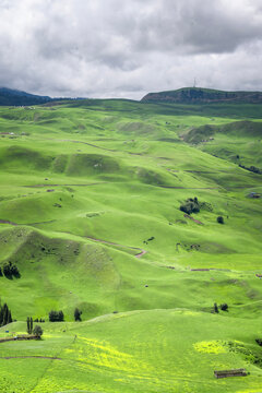 Vast green rolling hills of Karakul Grassland under cloudy sky, Xinjiang, China