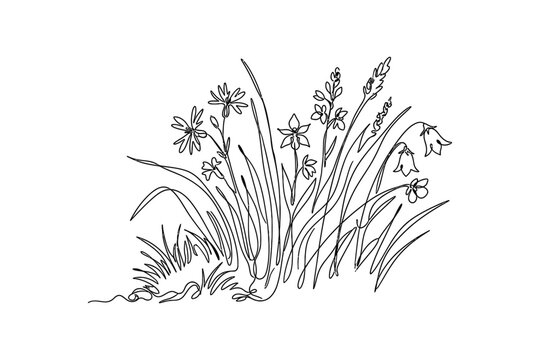 A continuous line drawing of a cluster of wild meadow flowers and grass.