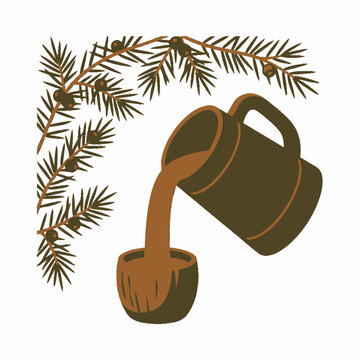 Pouring Juniper Berry Drink from Wooden Mug into Rustic Cup with Evergreen Branch