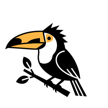 Toucan perched on a branch
