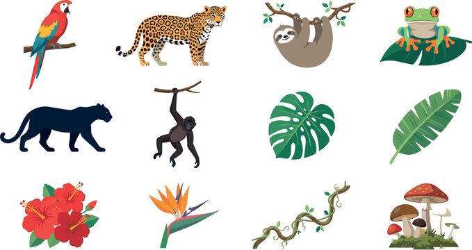 Set of Tropical Rainforest Animals, Exotic Plants, and Nature Icons Featuring Macaw, Jaguar, Sloth, Frog, Monkey, Flowers, and Foliage