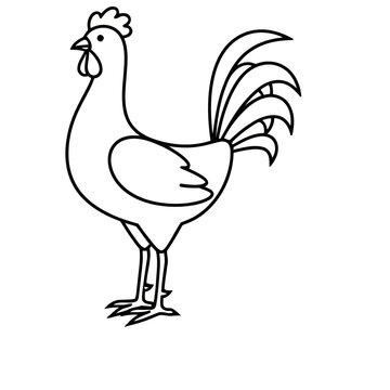 Rooster outline
