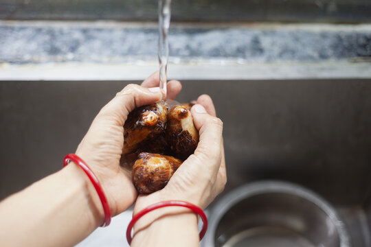 Indian female hands washing boiled taro roots in kitchen sink
