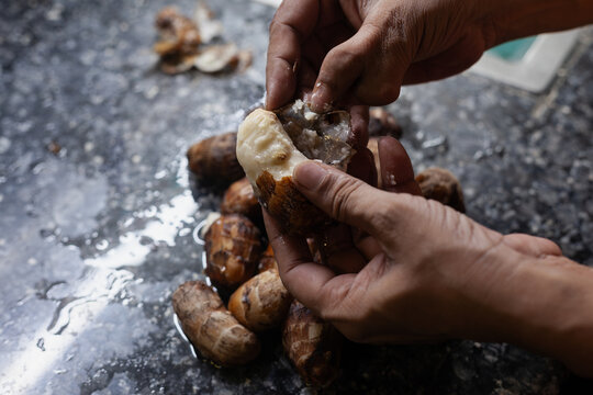 Indian female hands peeling boiled taro root for cooking