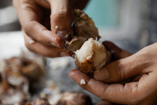 Indian female hands peeling boiled taro root for cooking