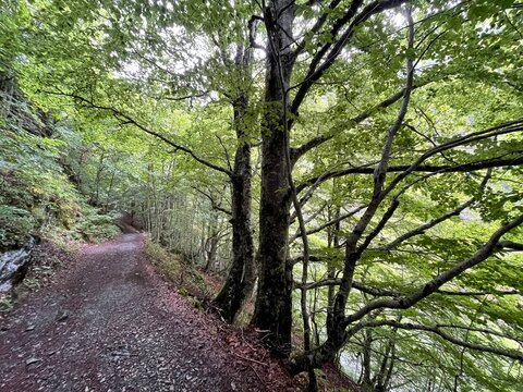 Ruta al refugio de Respomuso