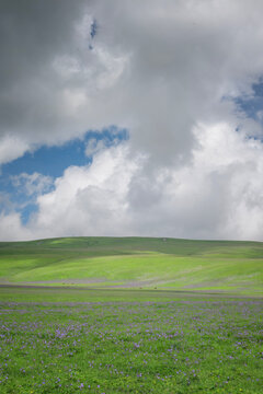 Vast flower meadow in Karasu Grassland, Ili, Xinjiang, China with rolling green hills and dramatic cloudy sky