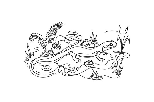 A continuous line drawing of a salamander in a natural habitat.
