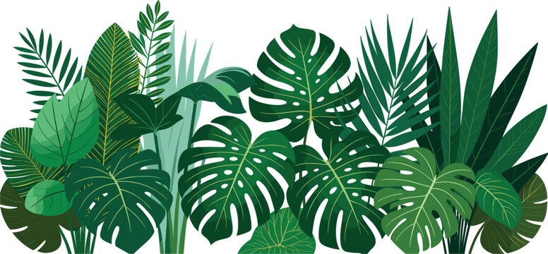 Tropical green monstera leaves border with jungle palm fronds, exotic botanical foliage vector background design