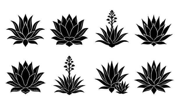 Black Silhouette Agave Succulent Plants Collection with Decorative Desert Botanical Vector Illustration Set