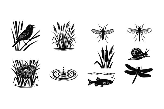 Collection of black and white vector illustrations depicting various pond and wetland wildlife elements.