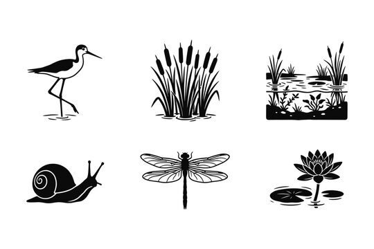 Set of black and white vector illustrations depicting various wetland flora and fauna.