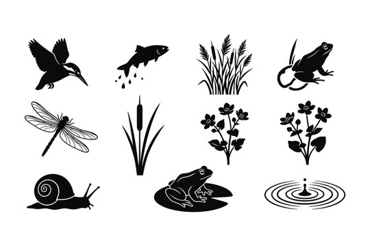 A collection of black silhouette illustrations depicting various pond life and aquatic nature elements.