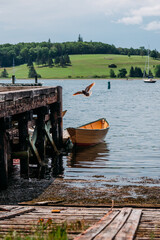 Fototapeta premium Bird flying by a rustic wooden pier and yellow boat