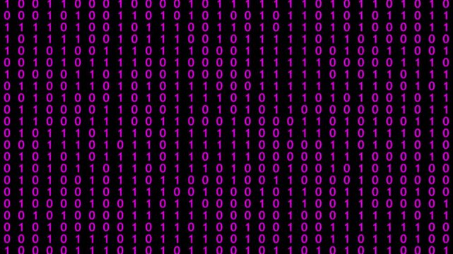 Pink binary code on black background, digital abstract background Motion Graphics of 4k Animation Video..