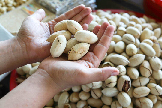 Close-up of customer holding pecan in shells while choosing fresh nuts at a traditional market. Healthy snack, food shopping and local market concept with selective focus.
