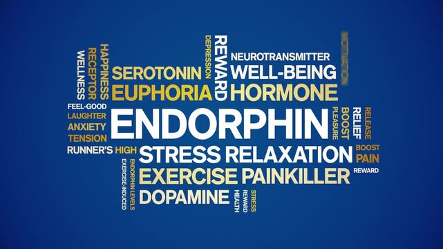 Endorphin animated word cloud-text design animation tag kinetic typography seamless loop.