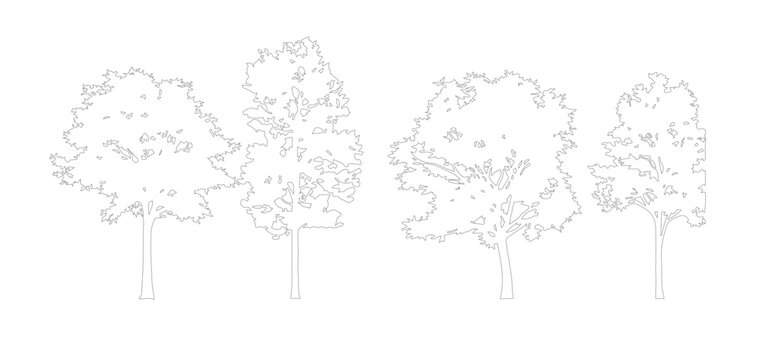 Minimalist tree line art set, architectural deciduous tree outlines, collection of 4 thin stroke vector trees for landscape design and site plans